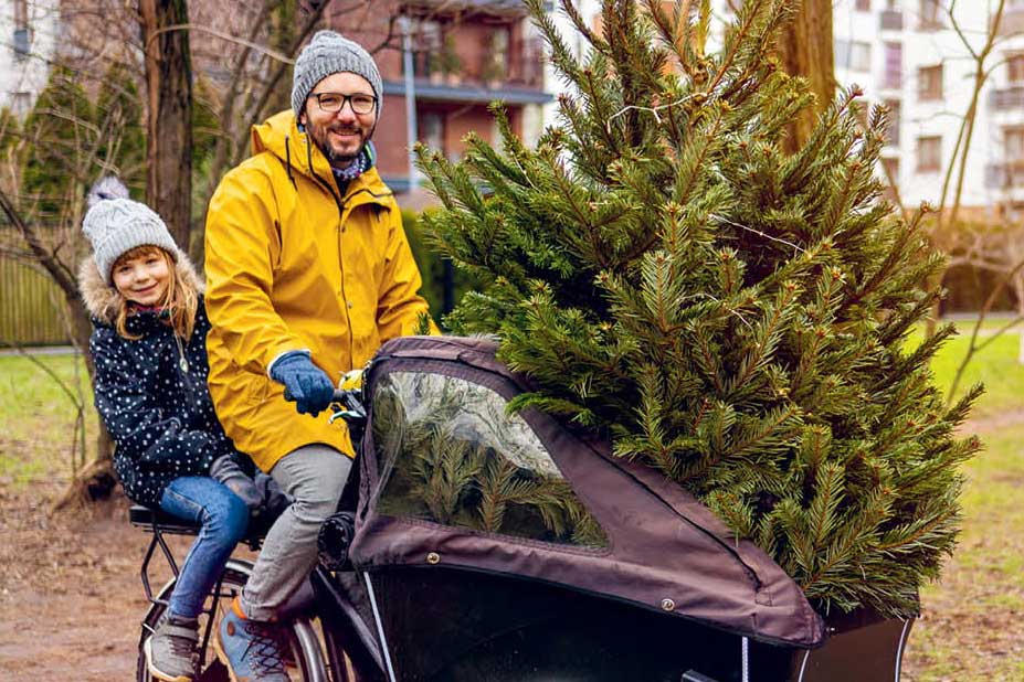 Titelfoto, Vater und Kind auf dem Lastenrad mit einem Weihnachtsbaum